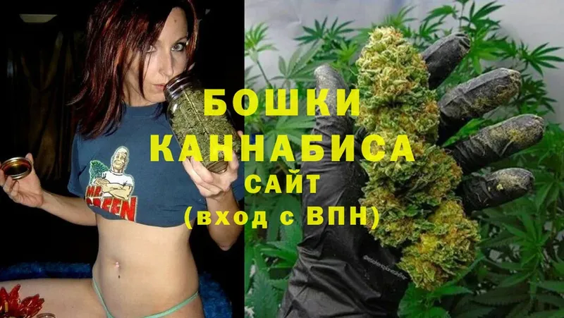 Конопля THC 21%  Новокубанск 